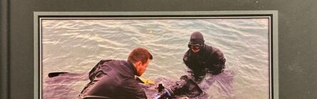 aktualne/doporucujeme-kniha-potapecske-nehody-219