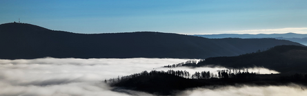 aktualne/pf-2026-218